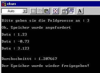 Screenshot des ausgefhrten Programms