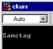 Screenshot des ausgefhrten Programms