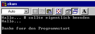 Screenshot des ausgefhrten Programms